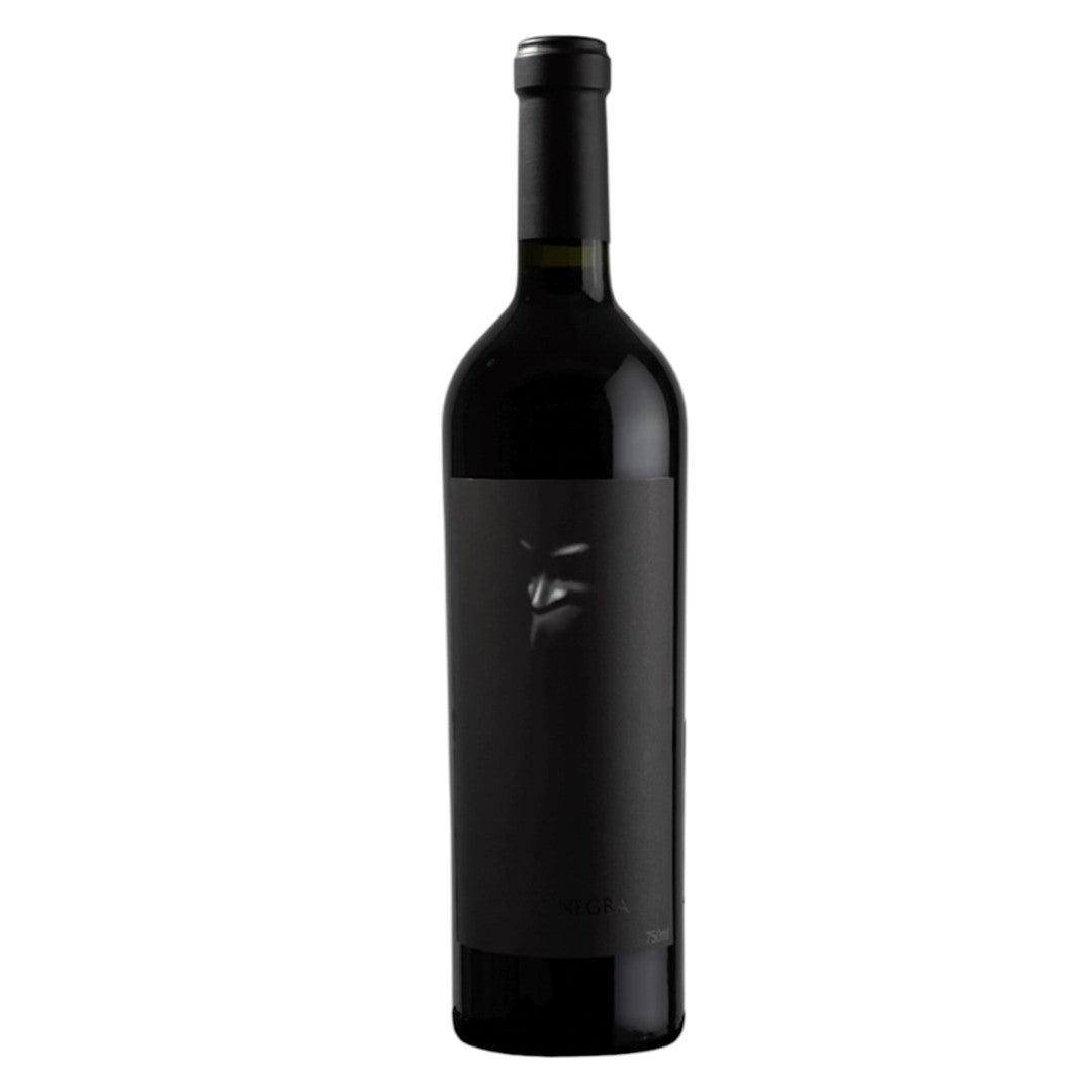 Vinho Alma Negra 2021 750ml